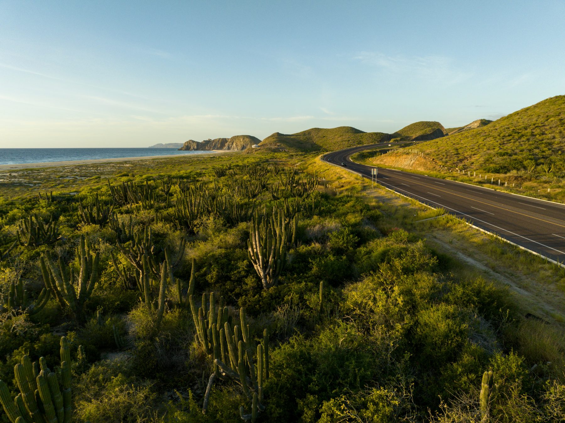 Fundadores — interior design by Onoa, Los Cabos