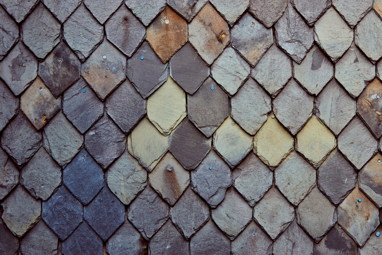 Fish scales — an essay by Onoa Interior Design